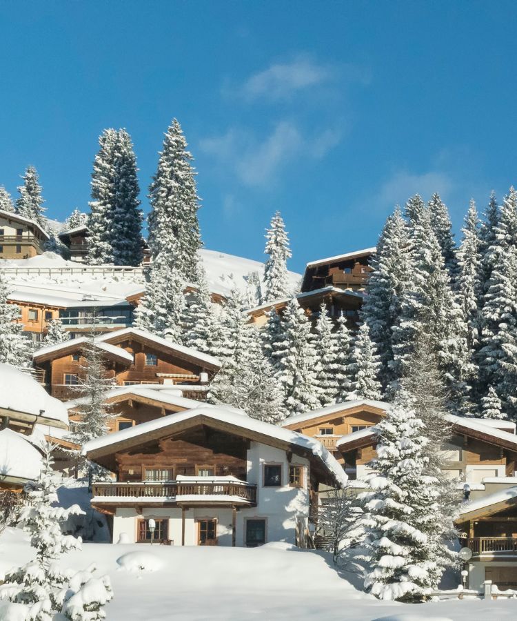 Intervention en Savoie (73)